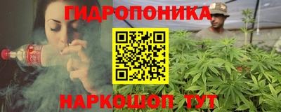 дурь Кингисепп