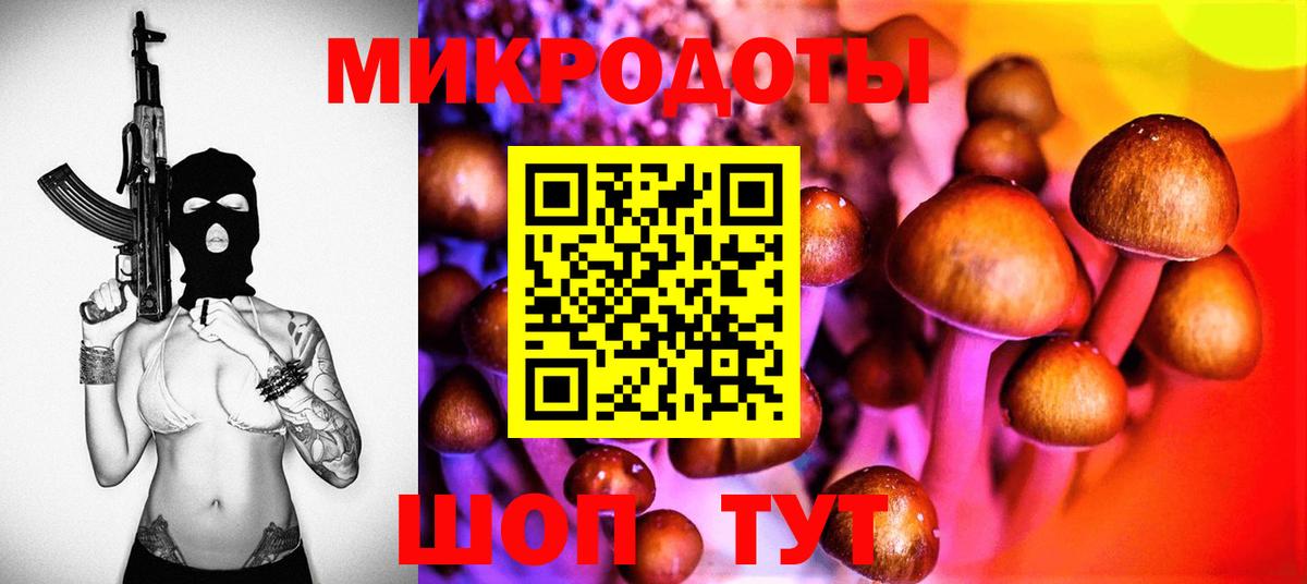 Псилоцибиновые грибы Magic Shrooms Котлас